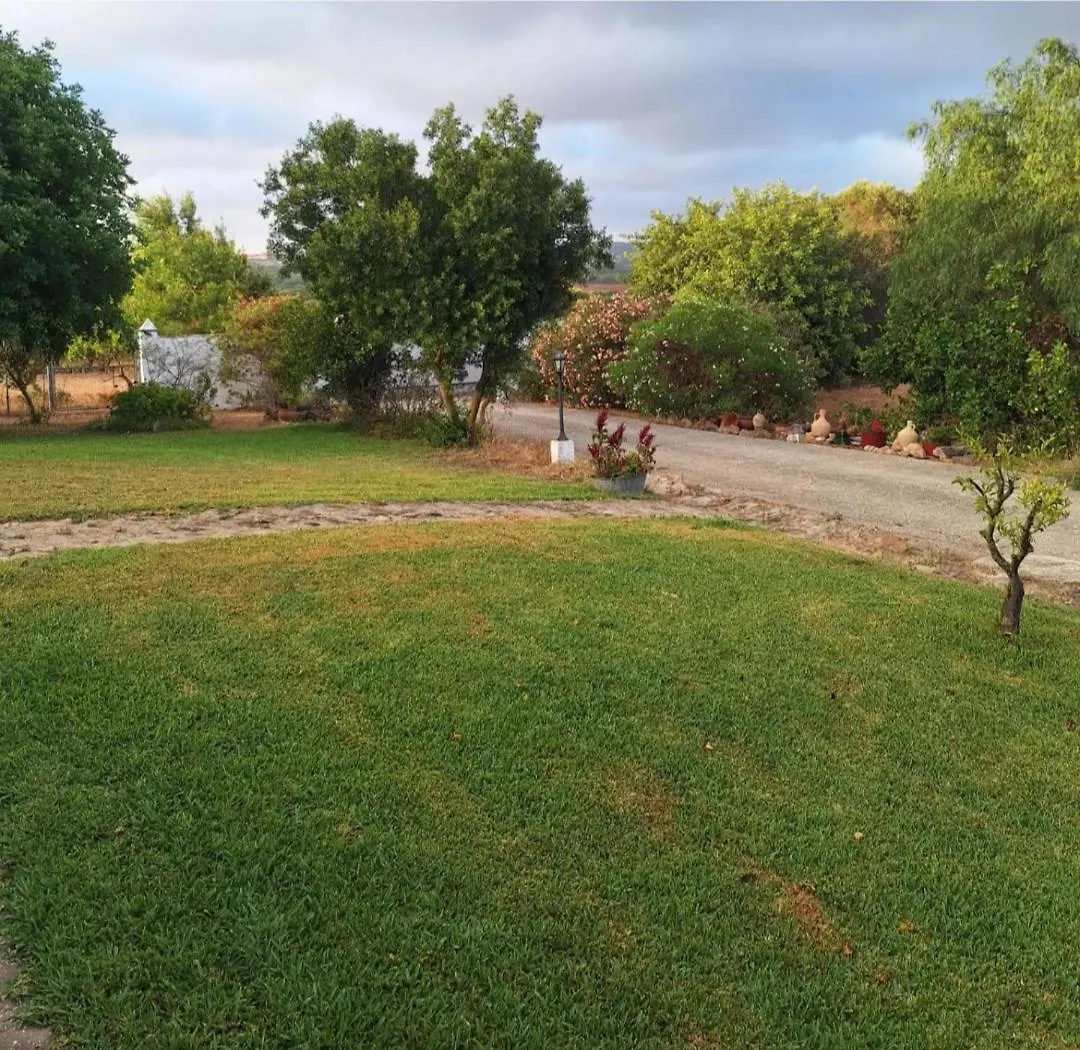 Casa Rural Santamaria Con Piscina Y Wifi Vejer de la Frontera 0*,