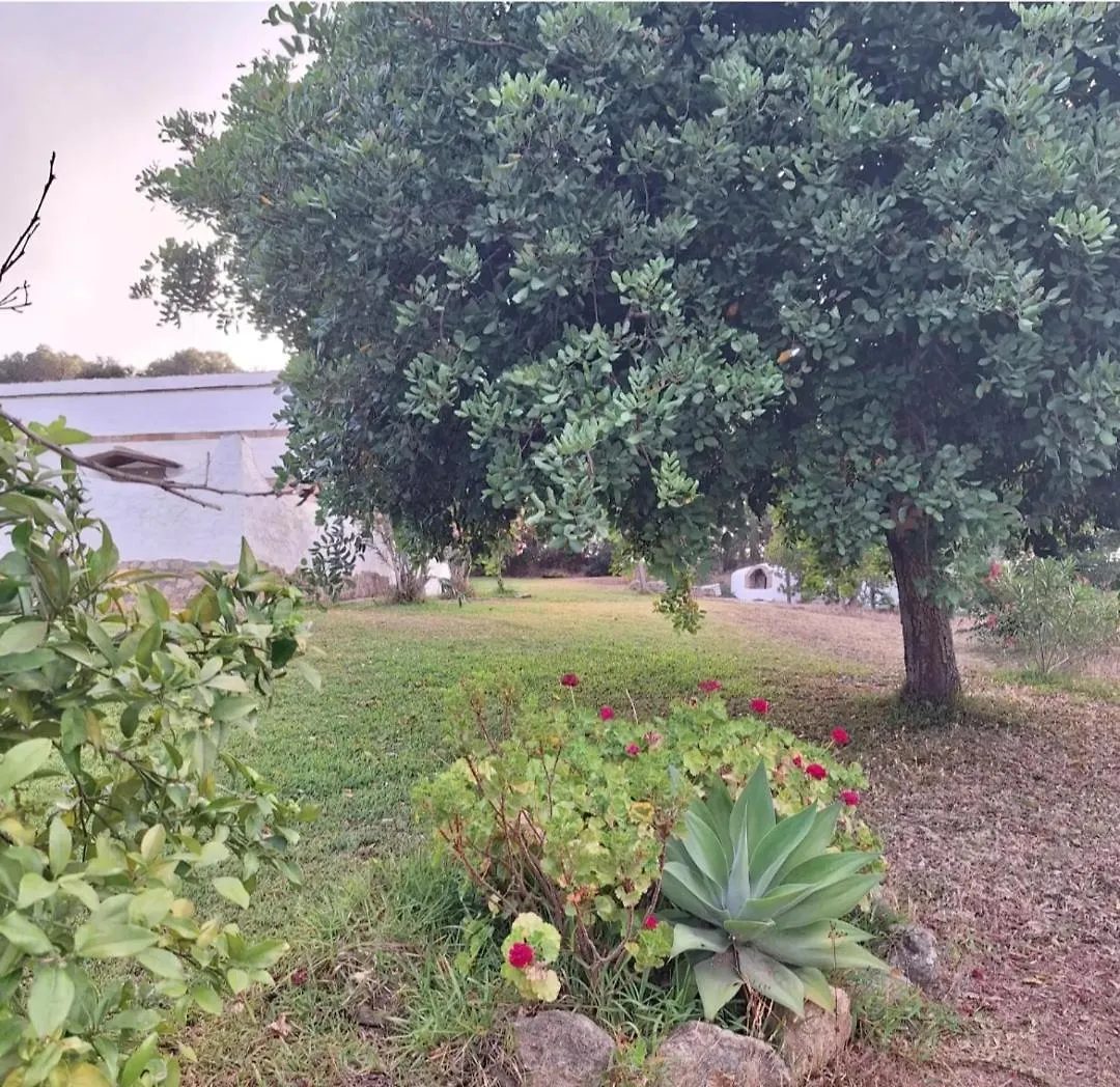 Casa Rural Santamaria Con Piscina Y Wifi Vejer de la Frontera Casa vacanze